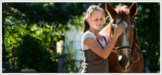 Equine assisted therapy